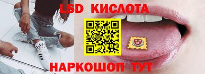мдпв Кингисепп