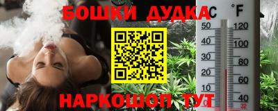 мдпв Кингисепп