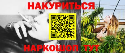мдпв Кингисепп