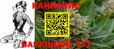 мдпв Кингисепп