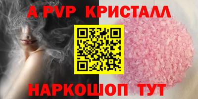 мдпв Кингисепп