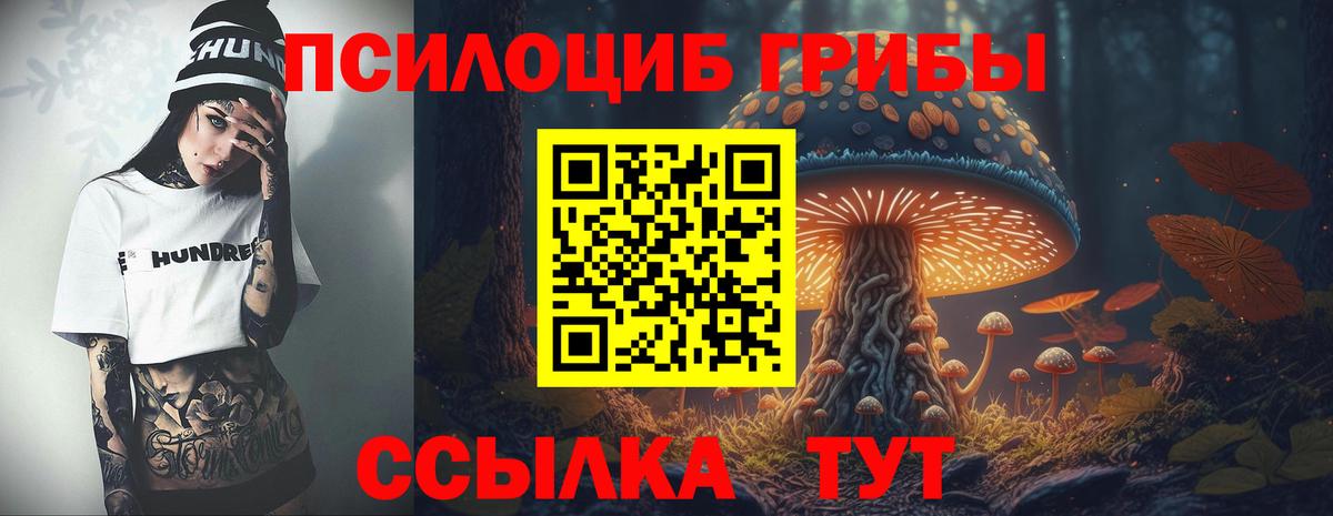 Галлюциногенные грибы Cubensis  Псилоцибиновые грибы Magic Shrooms  Кострома  Вход с VPN 